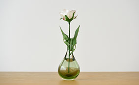 Sghr online shop スガハラ オンラインショップ