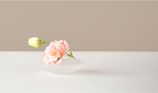 Sghr online shop スガハラ オンラインショップ