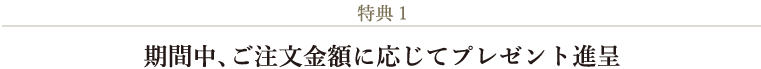 特典１期間中、ご注文金額に応じてプレゼント進呈