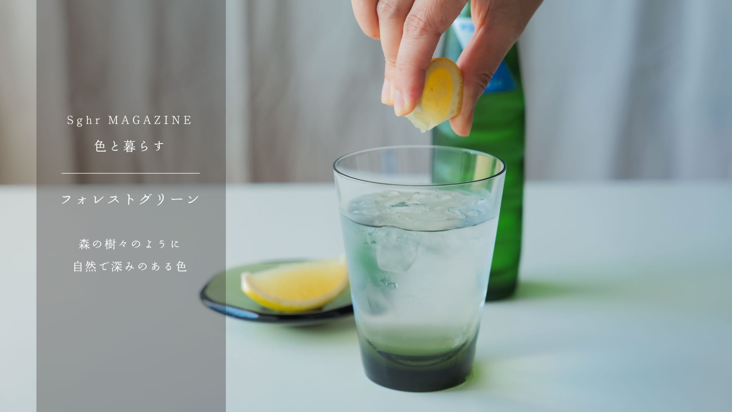 MAGAZINE 色と暮らす フォレストグリーン