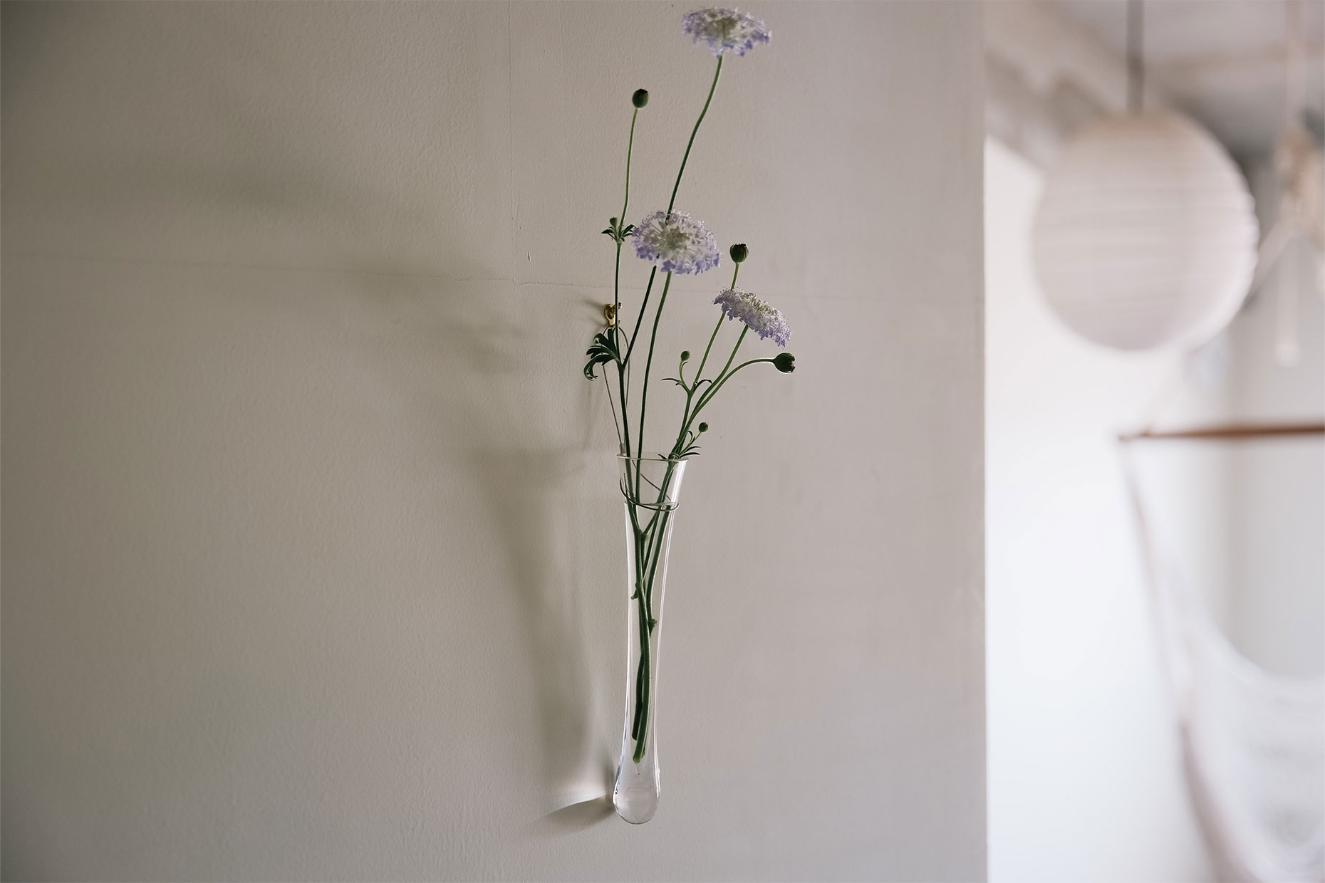 WALL VASE | コレクション | Sghr